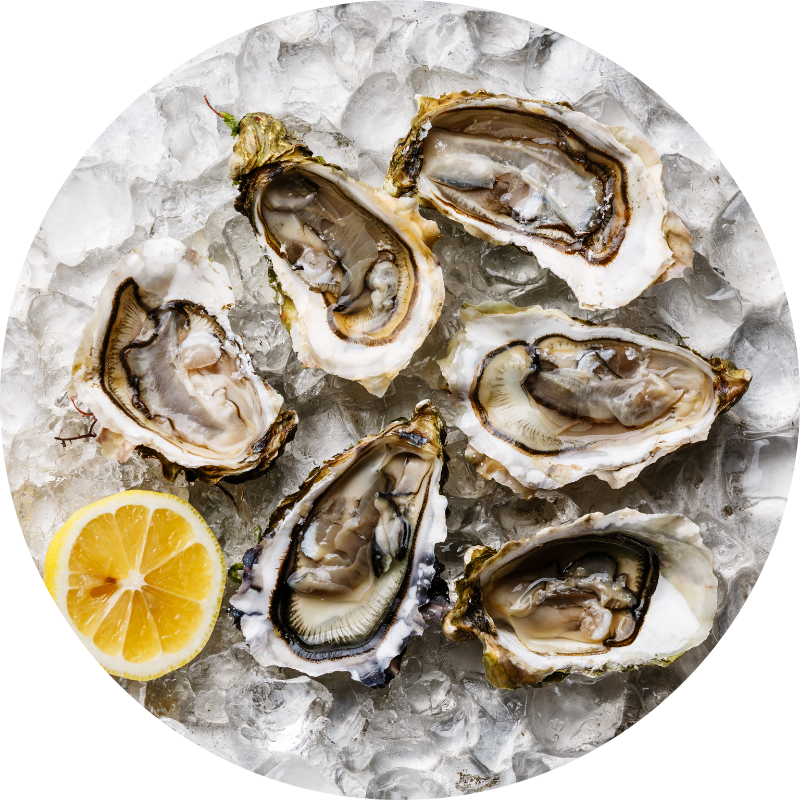 Luxury food provisioning Mallorca for private yachts